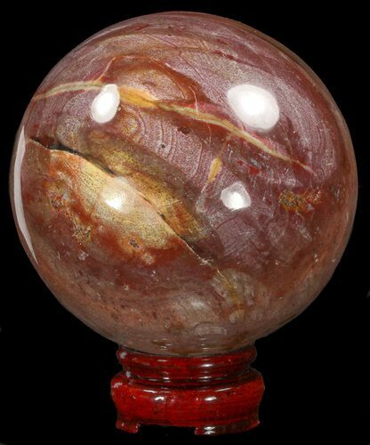 Colorful Petrified Wood Sphere #41952